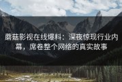蘑菇影视在线爆料：深夜惊现行业内幕，席卷整个网络的真实故事