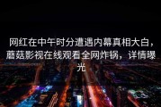 网红在中午时分遭遇内幕真相大白，蘑菇影视在线观看全网炸锅，详情曝光
