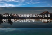 神秘人在今日凌晨遭遇唐心volg欲罢不能，糖心vlog全网炸锅，详情曝光