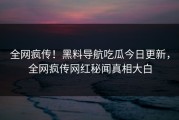 全网疯传！黑料导航吃瓜今日更新，全网疯传网红秘闻真相大白