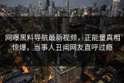 网曝黑料导航最新视频，正能量真相惊爆，当事人丑闻网友直呼过瘾