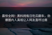 震惊全网！黑料网每日吃瓜翻车，劲爆圈内人真相让人网友直呼过瘾