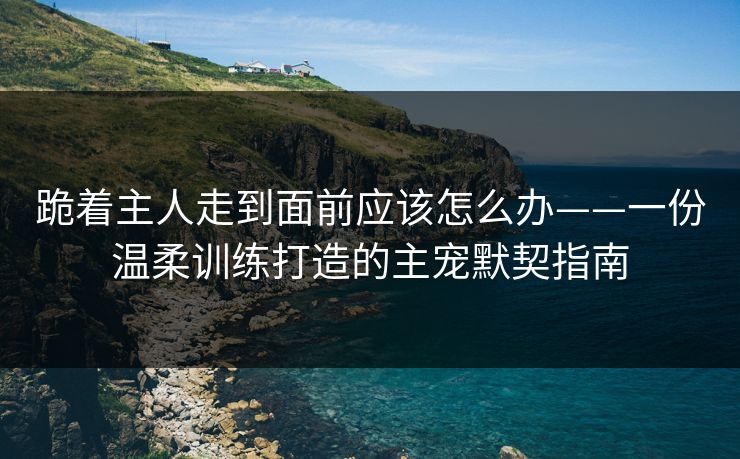 跪着主人走到面前应该怎么办——一份温柔训练打造的主宠默契指南