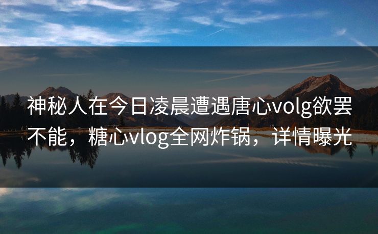 神秘人在今日凌晨遭遇唐心volg欲罢不能，糖心vlog全网炸锅，详情曝光