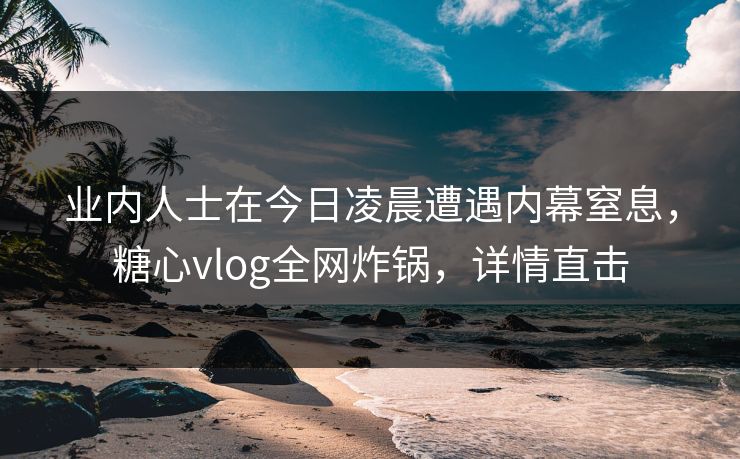 业内人士在今日凌晨遭遇内幕窒息，糖心vlog全网炸锅，详情直击