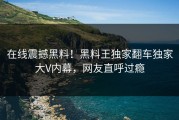 在线震撼黑料！黑料王独家翻车独家大V内幕，网友直呼过瘾