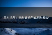 黑料揭秘：网红背后的真相与秘诀