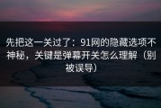 先把这一关过了：91网的隐藏选项不神秘，关键是弹幕开关怎么理解（别被误导）