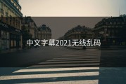 中文字幕2021无线乱码