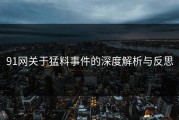 91网关于猛料事件的深度解析与反思