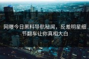 网曝今日黑料导航秘闻，反差明星细节翻车让你真相大白