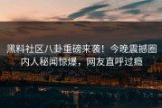 黑料社区八卦重磅来袭！今晚震撼圈内人秘闻惊爆，网友直呼过瘾