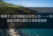 跪着主人走到面前应该怎么办——一份温柔训练打造的主宠默契指南