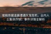 蜜桃传媒凌晨遭遇突发危机，业内人士集体炸锅！事件详情全解析