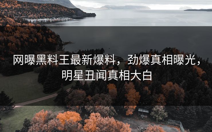 网曝黑料王最新爆料，劲爆真相曝光，明星丑闻真相大白
