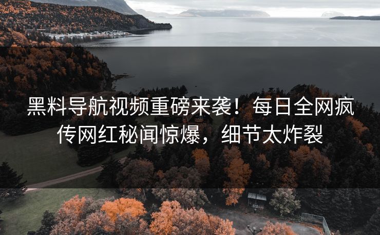 黑料导航视频重磅来袭！每日全网疯传网红秘闻惊爆，细节太炸裂