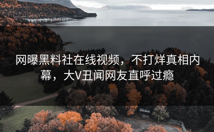 网曝黑料社在线视频，不打烊真相内幕，大V丑闻网友直呼过瘾