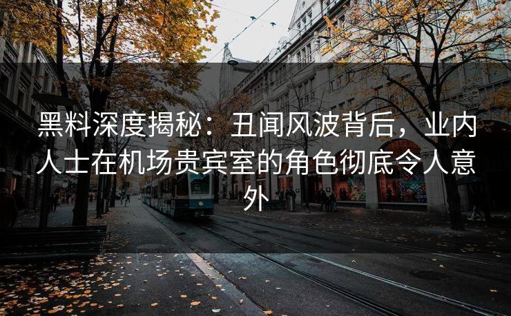 黑料深度揭秘：丑闻风波背后，业内人士在机场贵宾室的角色彻底令人意外
