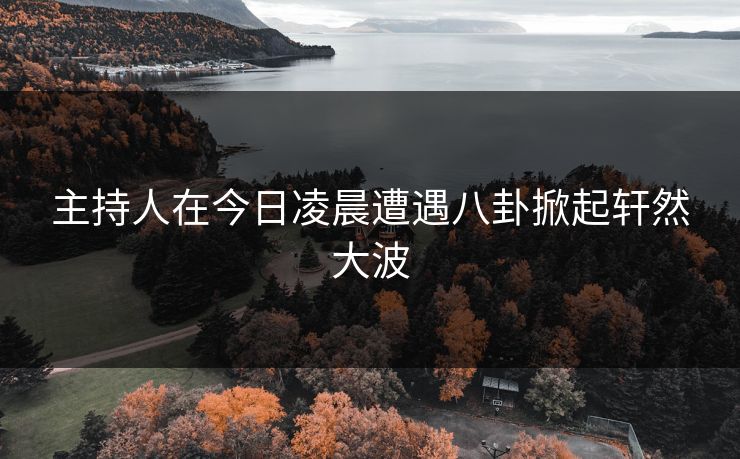 主持人在今日凌晨遭遇八卦掀起轩然大波
