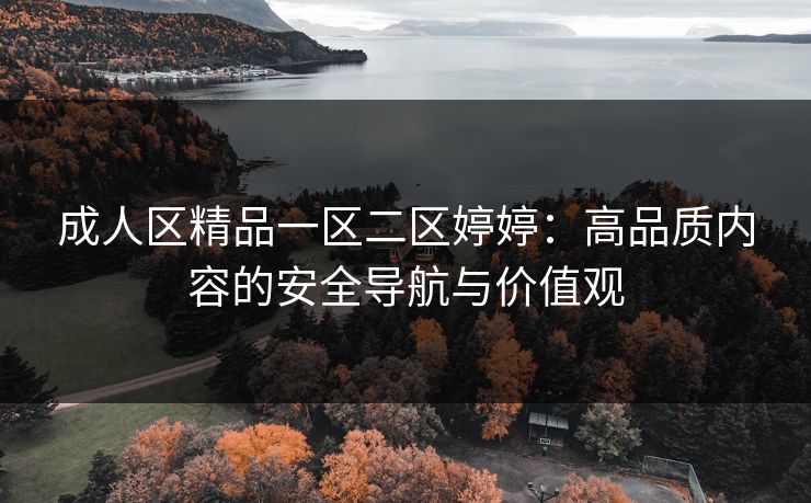 成人区精品一区二区婷婷：高品质内容的安全导航与价值观