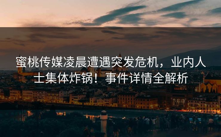 蜜桃传媒凌晨遭遇突发危机，业内人士集体炸锅！事件详情全解析