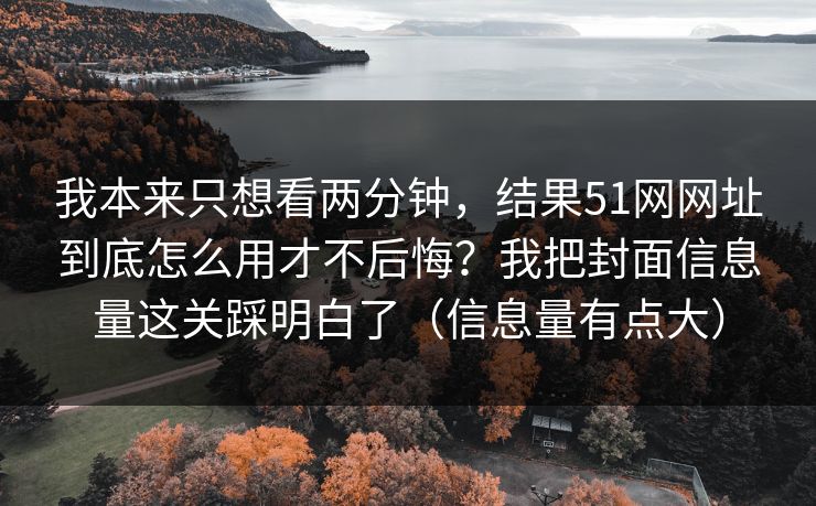我本来只想看两分钟，结果51网网址到底怎么用才不后悔？我把封面信息量这关踩明白了（信息量有点大）