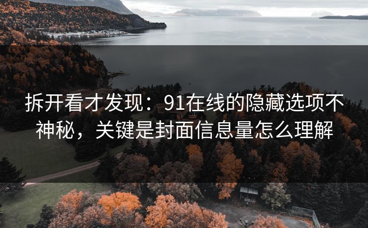 拆开看才发现：91在线的隐藏选项不神秘，关键是封面信息量怎么理解